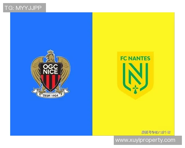 法甲足球明星卡片收藏解析 探秘球星卡片背后的价值与文化